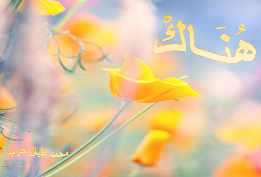 هناك – مدونة بألوان المشاعر الانسانية